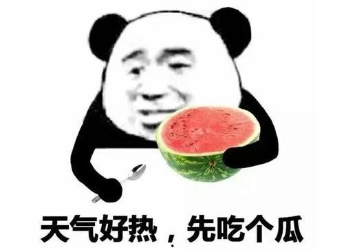 吃瓜表情包小图