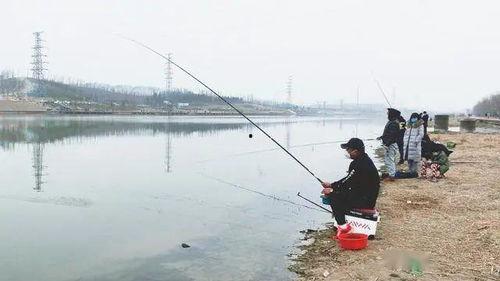娱乐吃瓜钓鱼视频下载安装